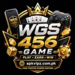 wgs456 game